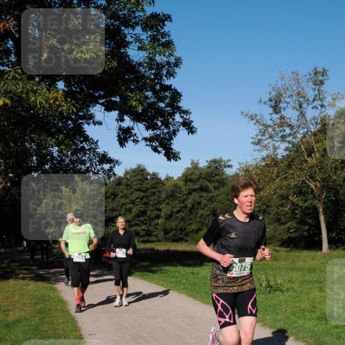 28.09.2025 - 33. Volkslauf durch das schöne Alstertal Fabian Wolf http://msf.ph/oto/8981236 28.09.2025 10:38:48 Laufen 3354, 3353, 4075 meine-sportfotos.de