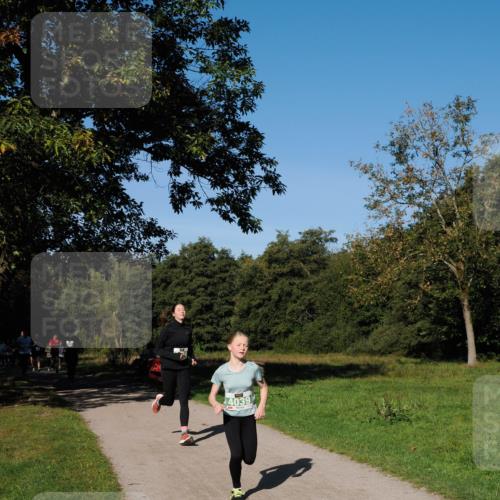 28.09.2025 - 33. Volkslauf durch das schöne Alstertal Fabian Wolf http://msf.ph/oto/8981318 28.09.2025 10:39:03 Laufen 4039 meine-sportfotos.de