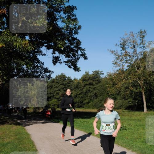 28.09.2025 - 33. Volkslauf durch das schöne Alstertal Fabian Wolf http://msf.ph/oto/8981322 28.09.2025 10:39:04 Laufen 4039 meine-sportfotos.de