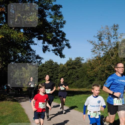 28.09.2025 - 33. Volkslauf durch das schöne Alstertal Fabian Wolf http://msf.ph/oto/8981389 28.09.2025 10:39:17 Laufen 4040, 7, 412, 4113 meine-sportfotos.de