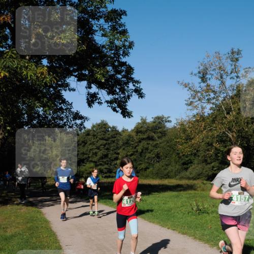 28.09.2025 - 33. Volkslauf durch das schöne Alstertal Fabian Wolf http://msf.ph/oto/8981457 28.09.2025 10:39:25 Laufen 403, 4120, 4157 meine-sportfotos.de