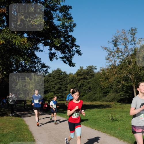 28.09.2025 - 33. Volkslauf durch das schöne Alstertal Fabian Wolf http://msf.ph/oto/8981458 28.09.2025 10:39:25 Laufen 4038, 412 meine-sportfotos.de