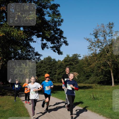 28.09.2025 - 33. Volkslauf durch das schöne Alstertal Fabian Wolf http://msf.ph/oto/8981502 28.09.2025 10:39:34 Laufen 4095, 403 meine-sportfotos.de