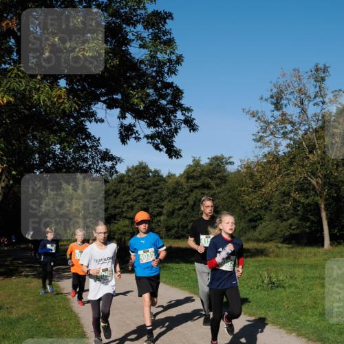 28.09.2025 - 33. Volkslauf durch das schöne Alstertal Fabian Wolf http://msf.ph/oto/8981504 28.09.2025 10:39:35 Laufen 081, 4035 meine-sportfotos.de