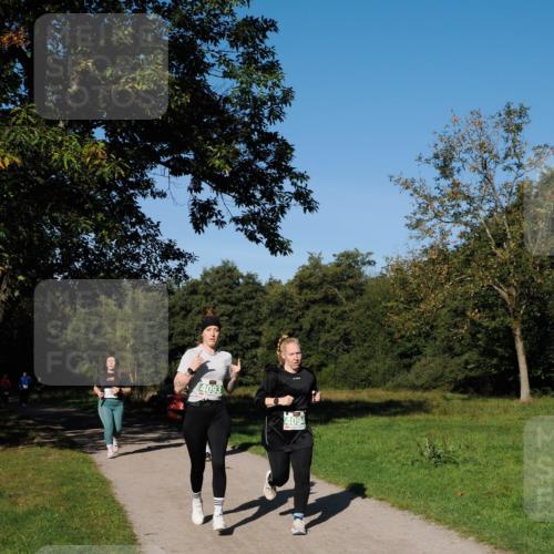 28.09.2025 - 33. Volkslauf durch das schöne Alstertal Fabian Wolf http://msf.ph/oto/8981525 28.09.2025 10:39:42 Laufen 4093, 4094 meine-sportfotos.de