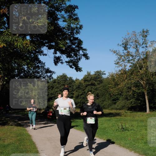 28.09.2025 - 33. Volkslauf durch das schöne Alstertal Fabian Wolf http://msf.ph/oto/8981528 28.09.2025 10:39:42 Laufen 4093, 4094 meine-sportfotos.de