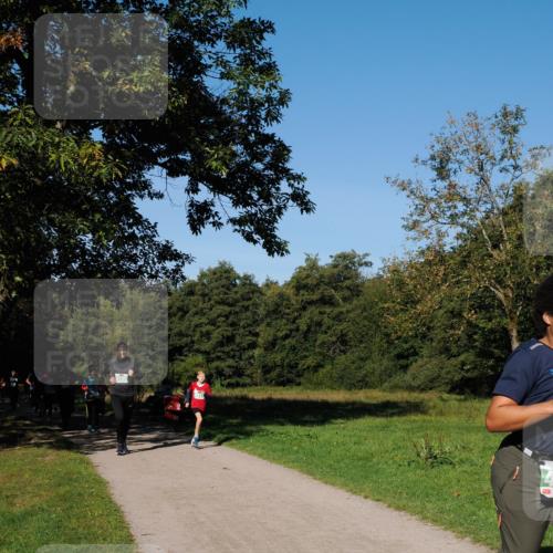 28.09.2025 - 33. Volkslauf durch das schöne Alstertal Fabian Wolf http://msf.ph/oto/8981617 28.09.2025 10:39:58 Laufen  meine-sportfotos.de