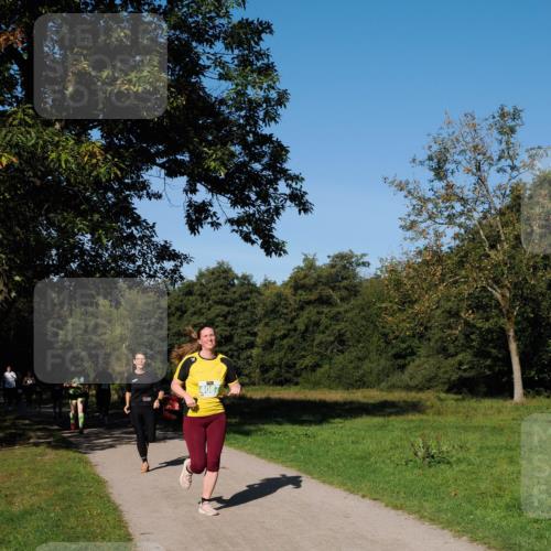 28.09.2025 - 33. Volkslauf durch das schöne Alstertal Fabian Wolf http://msf.ph/oto/8981704 28.09.2025 10:40:12 Laufen 4087 meine-sportfotos.de