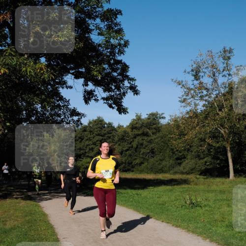 28.09.2025 - 33. Volkslauf durch das schöne Alstertal Fabian Wolf http://msf.ph/oto/8981705 28.09.2025 10:40:12 Laufen 1087 meine-sportfotos.de