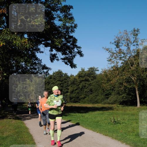 28.09.2025 - 33. Volkslauf durch das schöne Alstertal Fabian Wolf http://msf.ph/oto/8981739 28.09.2025 10:40:17 Laufen 4088 meine-sportfotos.de