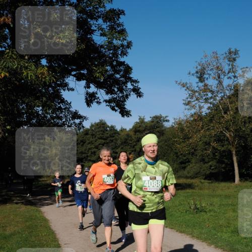 28.09.2025 - 33. Volkslauf durch das schöne Alstertal Fabian Wolf http://msf.ph/oto/8981748 28.09.2025 10:40:18 Laufen 4079, 4032, 4088 meine-sportfotos.de