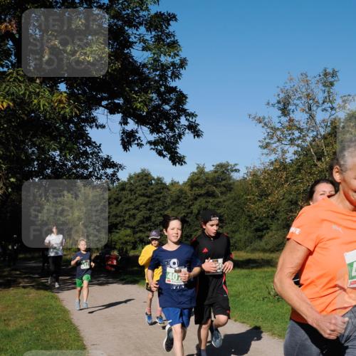 28.09.2025 - 33. Volkslauf durch das schöne Alstertal Fabian Wolf http://msf.ph/oto/8981760 28.09.2025 10:40:20 Laufen 40 meine-sportfotos.de
