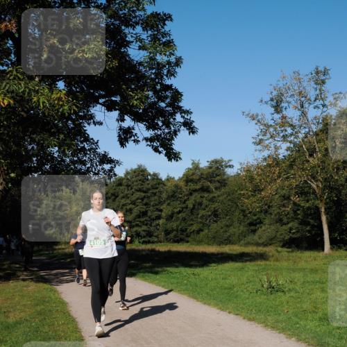 28.09.2025 - 33. Volkslauf durch das schöne Alstertal Fabian Wolf http://msf.ph/oto/8981791 28.09.2025 10:40:23 Laufen 4105 meine-sportfotos.de