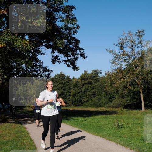 28.09.2025 - 33. Volkslauf durch das schöne Alstertal Fabian Wolf http://msf.ph/oto/8981795 28.09.2025 10:40:23 Laufen 4105 meine-sportfotos.de