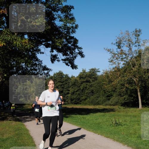 28.09.2025 - 33. Volkslauf durch das schöne Alstertal Fabian Wolf http://msf.ph/oto/8981796 28.09.2025 10:40:23 Laufen 4105 meine-sportfotos.de