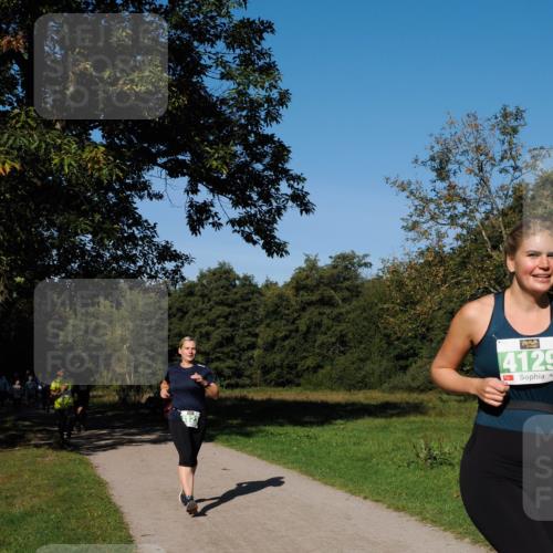 28.09.2025 - 33. Volkslauf durch das schöne Alstertal Fabian Wolf http://msf.ph/oto/8981808 28.09.2025 10:40:25 Laufen 4129 meine-sportfotos.de