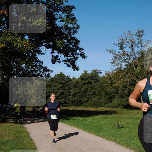 28.09.2025 - 33. Volkslauf durch das schöne Alstertal Fabian Wolf http://msf.ph/oto/8981809 28.09.2025 10:40:25 Laufen  meine-sportfotos.de