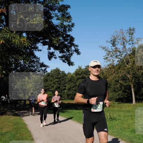 28.09.2025 - 33. Volkslauf durch das schöne Alstertal Fabian Wolf http://msf.ph/oto/8981851 28.09.2025 10:40:32 Laufen 4048 meine-sportfotos.de