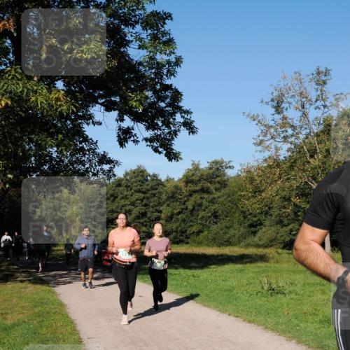 28.09.2025 - 33. Volkslauf durch das schöne Alstertal Fabian Wolf http://msf.ph/oto/8981853 28.09.2025 10:40:33 Laufen  meine-sportfotos.de