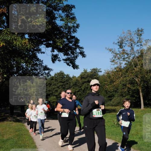 28.09.2025 - 33. Volkslauf durch das schöne Alstertal Fabian Wolf http://msf.ph/oto/8981899 28.09.2025 10:40:45 Laufen 409, 4174, 4099 meine-sportfotos.de