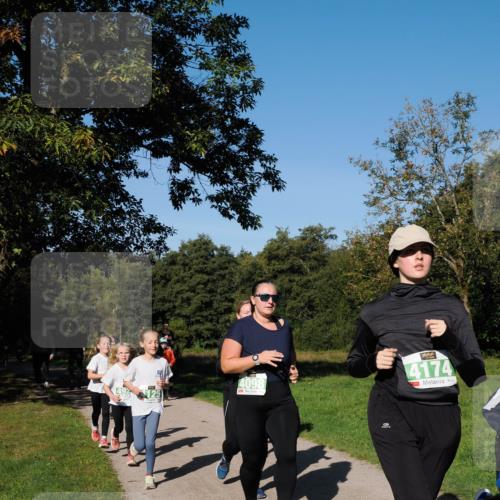 28.09.2025 - 33. Volkslauf durch das schöne Alstertal Fabian Wolf http://msf.ph/oto/8981904 28.09.2025 10:40:46 Laufen 4098, 4174 meine-sportfotos.de