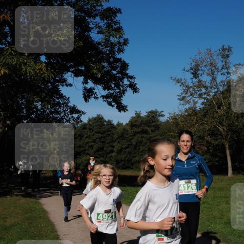 28.09.2025 - 33. Volkslauf durch das schöne Alstertal Fabian Wolf http://msf.ph/oto/8981921 28.09.2025 10:40:48 Laufen 4921, 4126 meine-sportfotos.de