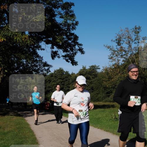 28.09.2025 - 33. Volkslauf durch das schöne Alstertal Fabian Wolf http://msf.ph/oto/8982142 28.09.2025 10:42:02 Laufen 03, 4904 meine-sportfotos.de