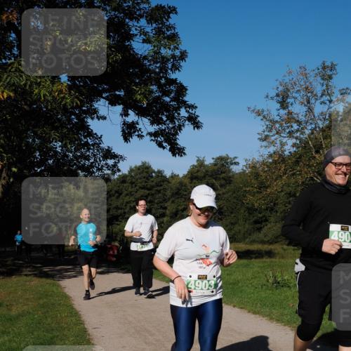28.09.2025 - 33. Volkslauf durch das schöne Alstertal Fabian Wolf http://msf.ph/oto/8982143 28.09.2025 10:42:03 Laufen 1391, 4903, 4904 meine-sportfotos.de