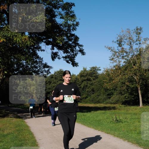 28.09.2025 - 33. Volkslauf durch das schöne Alstertal Fabian Wolf http://msf.ph/oto/8982178 28.09.2025 10:42:14 Laufen 411, 4072 meine-sportfotos.de