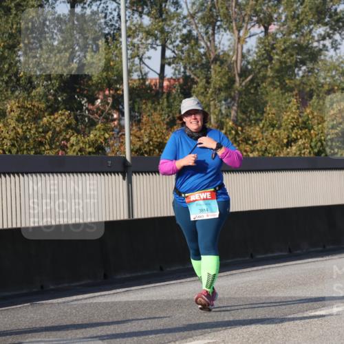 03.10.2025 - Köhlbrandbrückenlauf Luisa Fischer http://msf.ph/oto/8984751 03.10.2025 11:14:19 Position 3 3565, 3814 meine-sportfotos.de