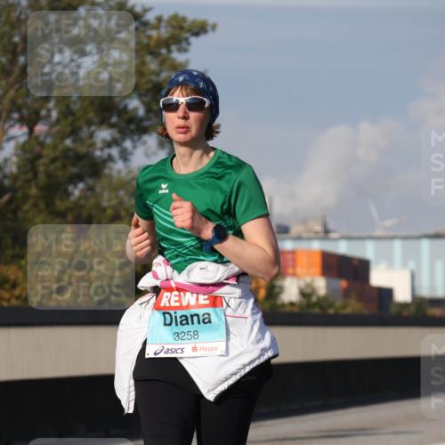 03.10.2025 - Köhlbrandbrückenlauf Luisa Fischer http://msf.ph/oto/8985780 03.10.2025 11:17:48 Position 3 3258 meine-sportfotos.de