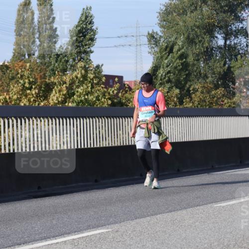 03.10.2025 - Köhlbrandbrückenlauf Luisa Fischer http://msf.ph/oto/8987755 03.10.2025 11:23:17 Position 3 3512 meine-sportfotos.de