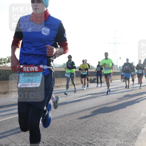 03.10.2025 - Köhlbrandbrückenlauf Luisa Fischer http://msf.ph/oto/8990306 03.10.2025 10:14:13 Position 3 2955 meine-sportfotos.de