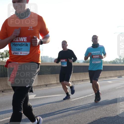 03.10.2025 - Köhlbrandbrückenlauf Luisa Fischer http://msf.ph/oto/8990595 03.10.2025 10:14:50 Position 3 1447, 1141 meine-sportfotos.de
