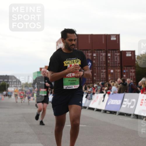 03.10.2025 - Köhlbrandbrückenlauf Yannick Fuchs http://msf.ph/oto/8992724 03.10.2025 16:03:39 Ziel 7284, 7409, 8980, 8981, 9484, 9632, 9666 meine-sportfotos.de
