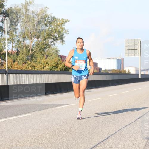 03.10.2025 - Köhlbrandbrückenlauf Luisa Fischer http://msf.ph/oto/8996661 03.10.2025 10:33:20 Position 3 769 meine-sportfotos.de