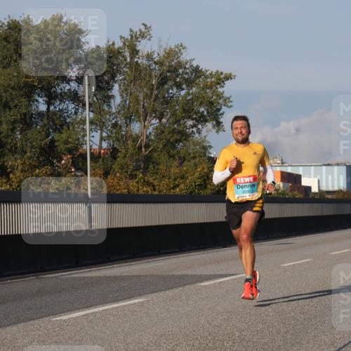 03.10.2025 - Köhlbrandbrückenlauf Luisa Fischer http://msf.ph/oto/8997526 03.10.2025 10:35:12 Position 3 3590 meine-sportfotos.de