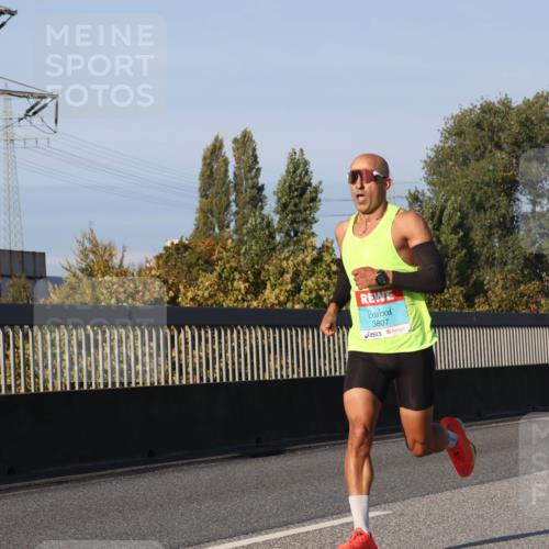 03.10.2025 - Köhlbrandbrückenlauf Luisa Fischer http://msf.ph/oto/8997628 03.10.2025 10:36:06 Position 3 3807 meine-sportfotos.de
