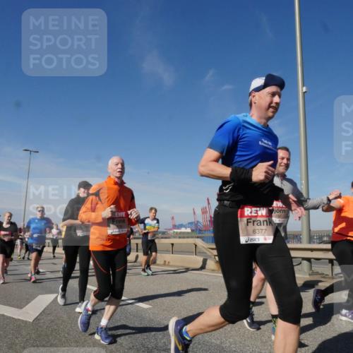 03.10.2025 - Köhlbrandbrückenlauf Matties Gatica Varas http://msf.ph/oto/8997833 03.10.2025 12:49:21 Position 2 5032, 6377 meine-sportfotos.de
