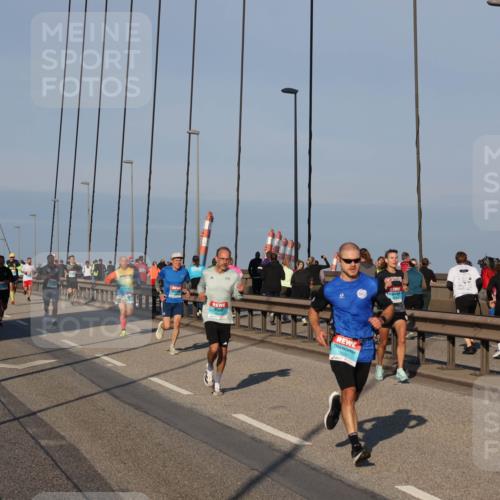03.10.2025 - Köhlbrandbrückenlauf Julia Fischer http://msf.ph/oto/9000412 03.10.2025 09:34:53 Position 2  meine-sportfotos.de