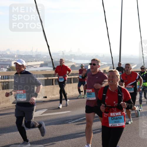 03.10.2025 - Köhlbrandbrückenlauf Julia Fischer http://msf.ph/oto/9000695 03.10.2025 09:22:03 Position 1 2849, 2843, 1411, 3630 meine-sportfotos.de