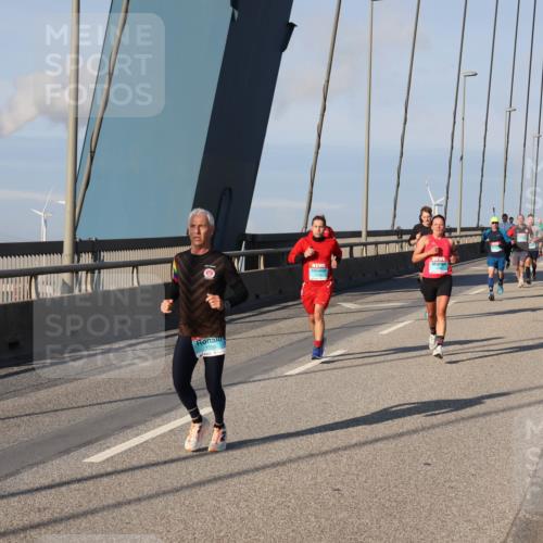03.10.2025 - Köhlbrandbrückenlauf Julia Fischer http://msf.ph/oto/9000955 03.10.2025 09:37:07 Position 2 1020 meine-sportfotos.de