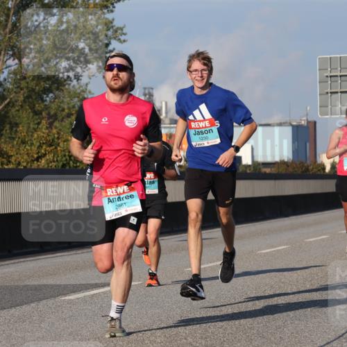 03.10.2025 - Köhlbrandbrückenlauf Luisa Fischer http://msf.ph/oto/9001743 03.10.2025 10:43:41 Position 3 1230, 2961, 85, 3249 meine-sportfotos.de