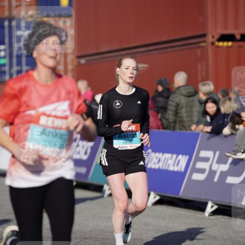 03.10.2025 - Köhlbrandbrückenlauf Michael Burmester http://msf.ph/oto/9002019 03.10.2025 10:05:37 Ziel 1119, 1340, 1962, 2698, 2743, 3484, 3579, 3716 meine-sportfotos.de