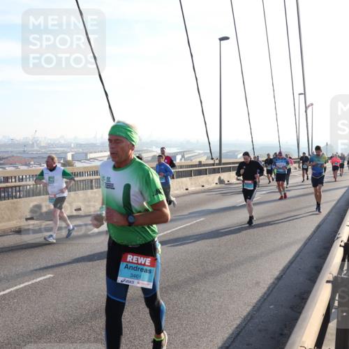 03.10.2025 - Köhlbrandbrückenlauf Julia Fischer http://msf.ph/oto/9002263 03.10.2025 09:26:43 Position 1 3461 meine-sportfotos.de