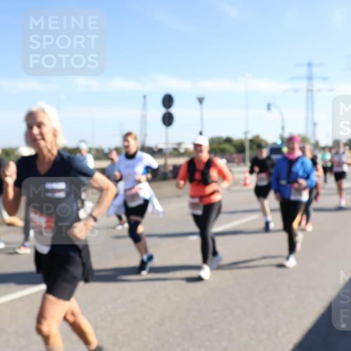 03.10.2025 - Köhlbrandbrückenlauf Julia Fischer http://msf.ph/oto/9003387 03.10.2025 12:22:06 Position 3  meine-sportfotos.de