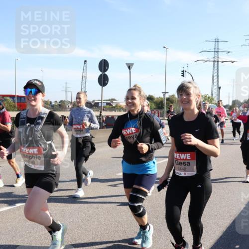 03.10.2025 - Köhlbrandbrückenlauf Julia Fischer http://msf.ph/oto/9003842 03.10.2025 12:23:14 Position 3 5592, 465, 6442 meine-sportfotos.de