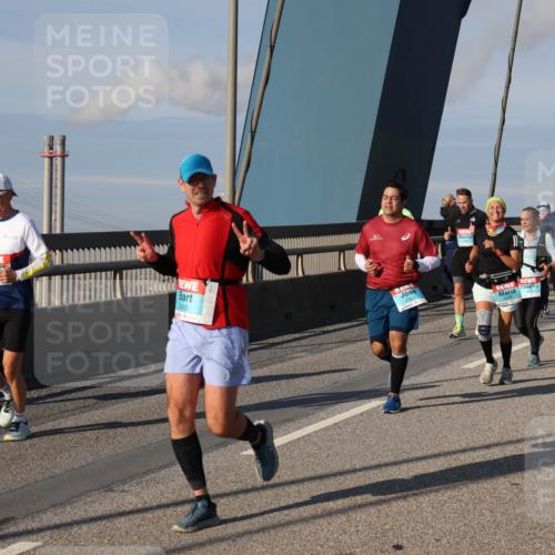 03.10.2025 - Köhlbrandbrückenlauf Julia Fischer http://msf.ph/oto/9004150 03.10.2025 09:47:51 Position 2 2450, 2964 meine-sportfotos.de