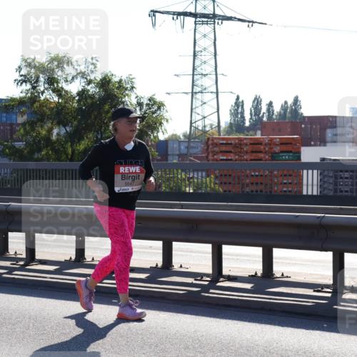 03.10.2025 - Köhlbrandbrückenlauf Julia Fischer http://msf.ph/oto/9004669 03.10.2025 12:27:24 Position 3 5547 meine-sportfotos.de