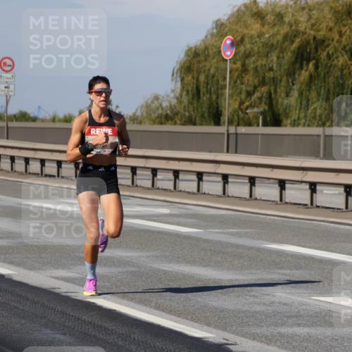 03.10.2025 - Köhlbrandbrückenlauf Julia Fischer http://msf.ph/oto/9004933 03.10.2025 12:36:42 Position 3 6740 meine-sportfotos.de